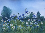Chabry i rumianki#31x41cm