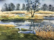 Wiosna nad Liwcem, A3
