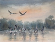 Świat żurawi, A3