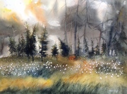 Płonie słońce w lesie, A3