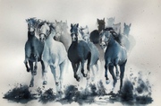 Galop, 38x56cm