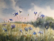 Chabrowa łąka, A3