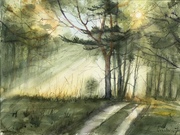 W spalskim lesie, A3