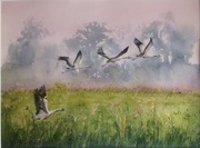 Żurawie, A3