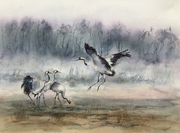 Wiosenne zaloty, A3