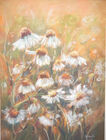 rumianki 40x30cm