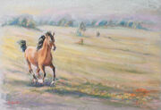 galop 30x40cm