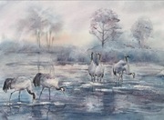 Poranne spotkanie, 31x41cm