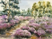 W kaszubskim lesie, A3