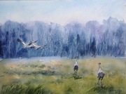 Żurawie, A3