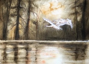 Łabędzie, A4