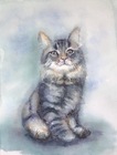 Yumiś , A3