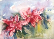 Gwiazdy betlejemskie, A4