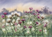 Spotkane przy drodze, 31x41cm
