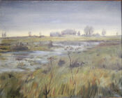 Źródła rzeki Miazgi 40x50cm
