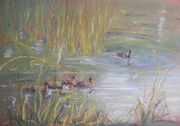 kaczki z Zaniemyśla 30x40cm