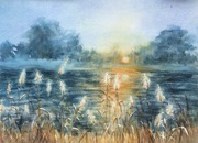 W trzcinach/ 31x41cm