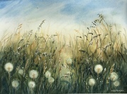 Trawy, A3