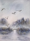Poranne żurawie , 41x31cm
