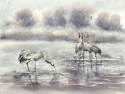 IMG_1340.jpeg