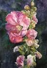 Malwa, 56x38cm