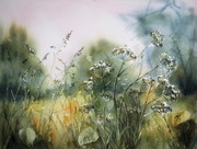 Czerwcowa łąka, A3